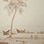 goa_palm_tree